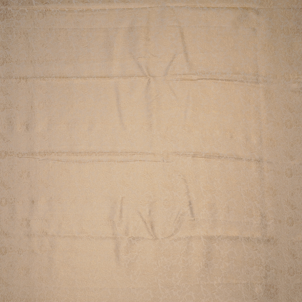 AK206243