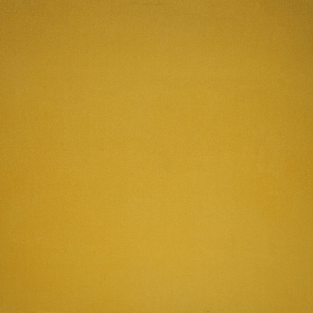 AK205756