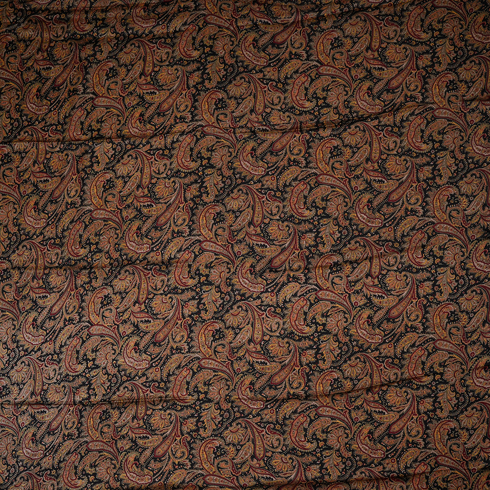 AK205569