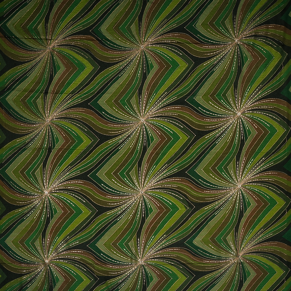 AK205811