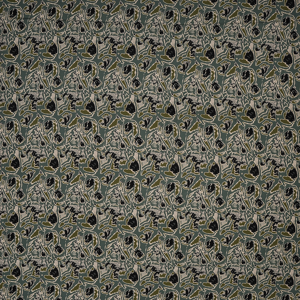 AK205067