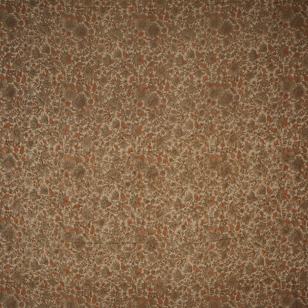AK206290