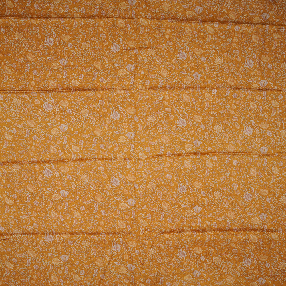 AK206262