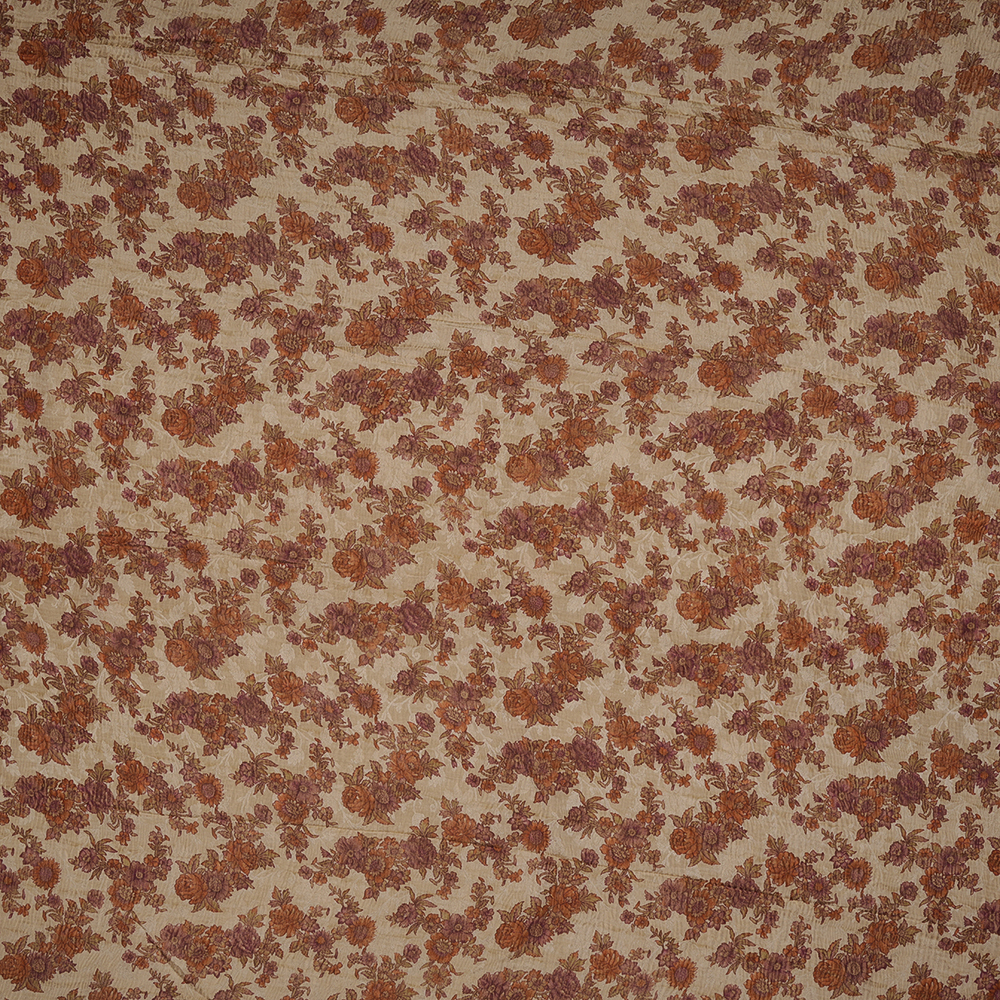 AK206294