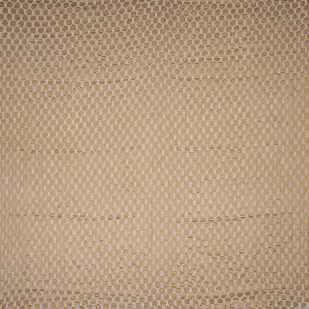 AK200965