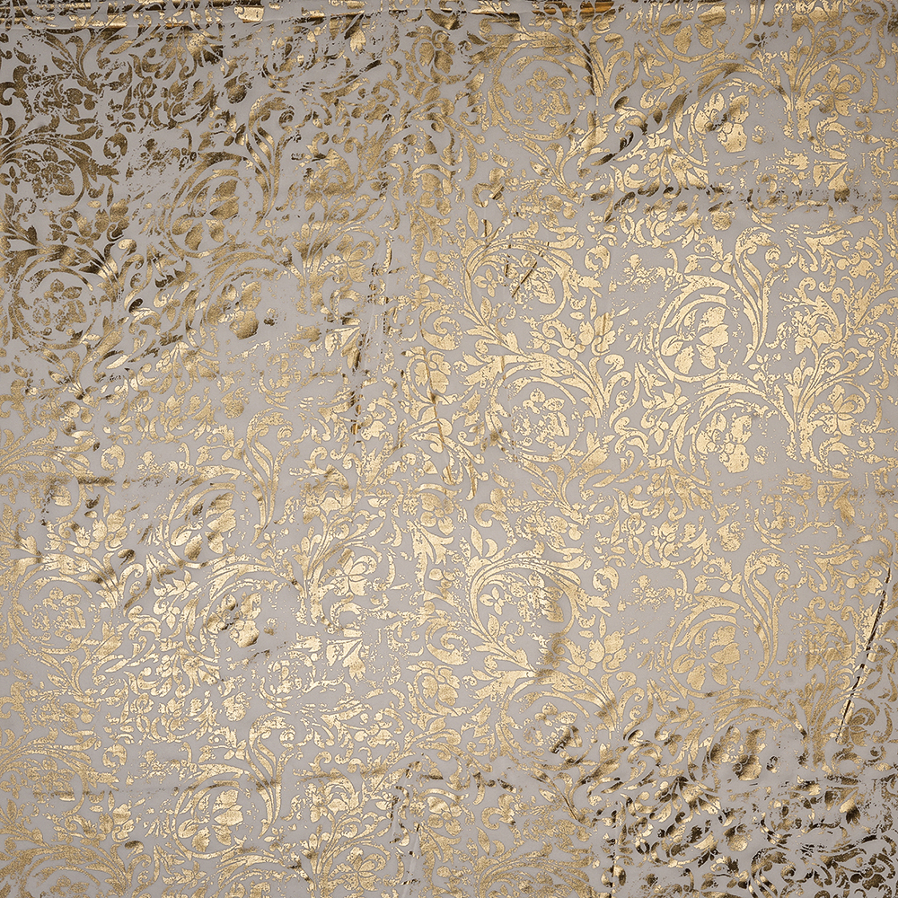 AK205693